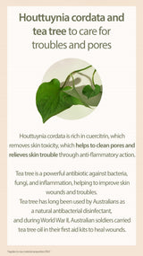 [Mary&May] 1+1 Houttuynia Cordata + Tea Tree Cleansing Foam - 150ml