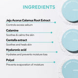 [Innisfree] No-Sebum Mineral Powder 5g