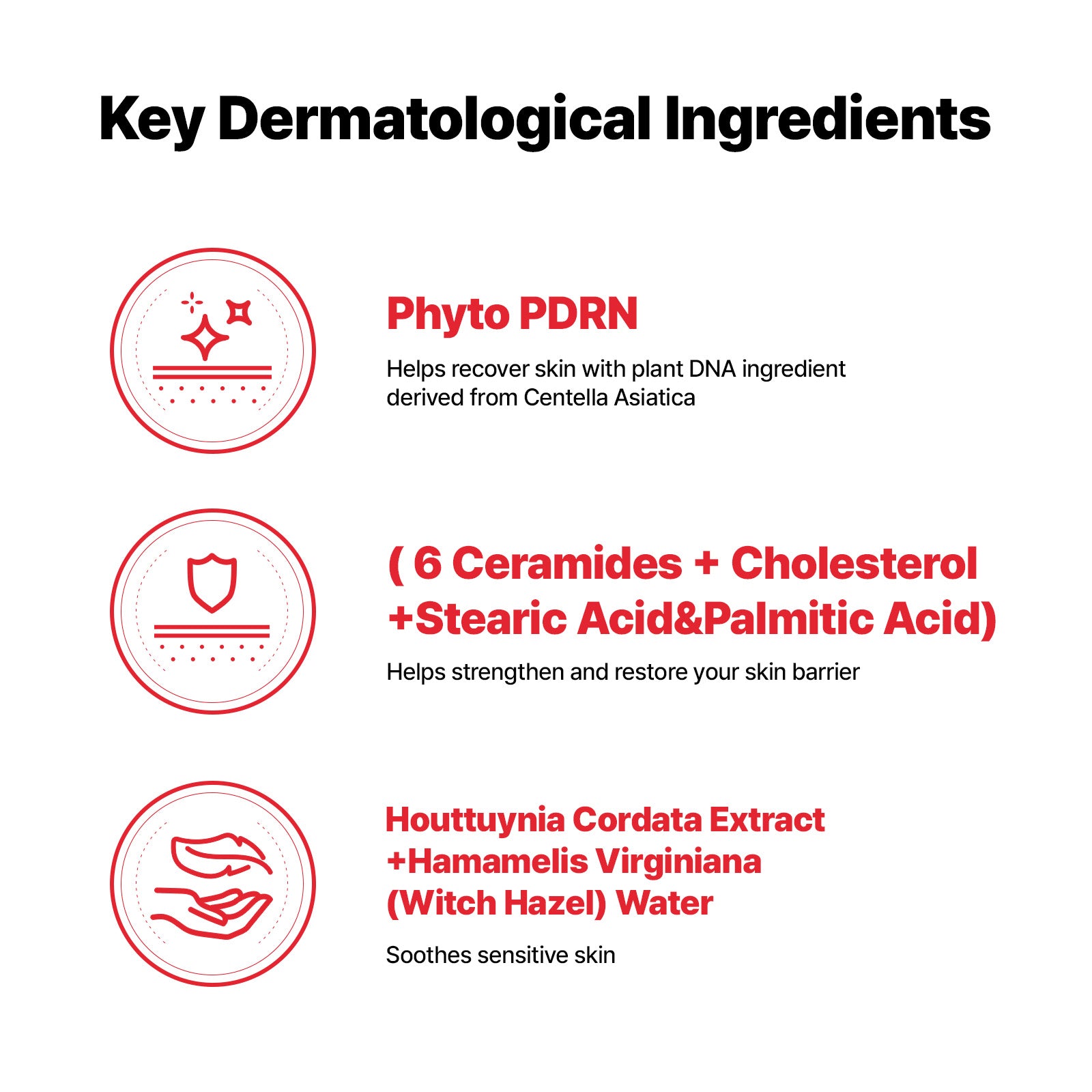 [Bundle] CellFusionC Sunscreen & Ampoule Double Set (2+2) ― 50% OFF