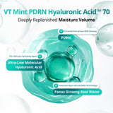 [VT Cosmetics] PDRN Hyaluronic Acid Micro Bubble Serum 70ml